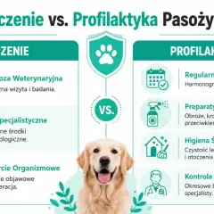 Grafika porównuje leczenie i profilaktykę przeciwpasożytniczą u psów. Wskazuje na diagnozę, leki i wsparcie organizmu w leczeniu, a także regularne odrobaczanie, preparaty zewnętrzne, higienę i kontrolę weterynaryjną w profilaktyce.