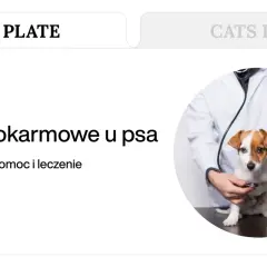 Weterynarz bada psa, który może mieć objawy zatrucia pokarmowego.