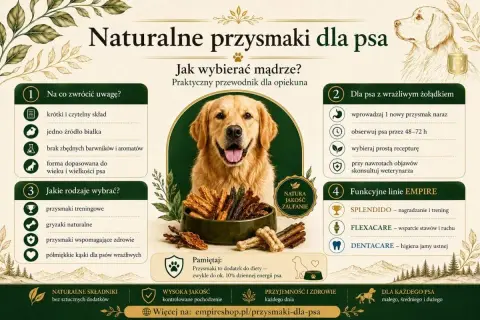 Szukasz idealnych przysmaków dla szczeniaka? Dowiedz się, jakie smaczki dla szczeniaka wybrać, zwracając uwagę na skład, rodzaj i przeznaczenie.